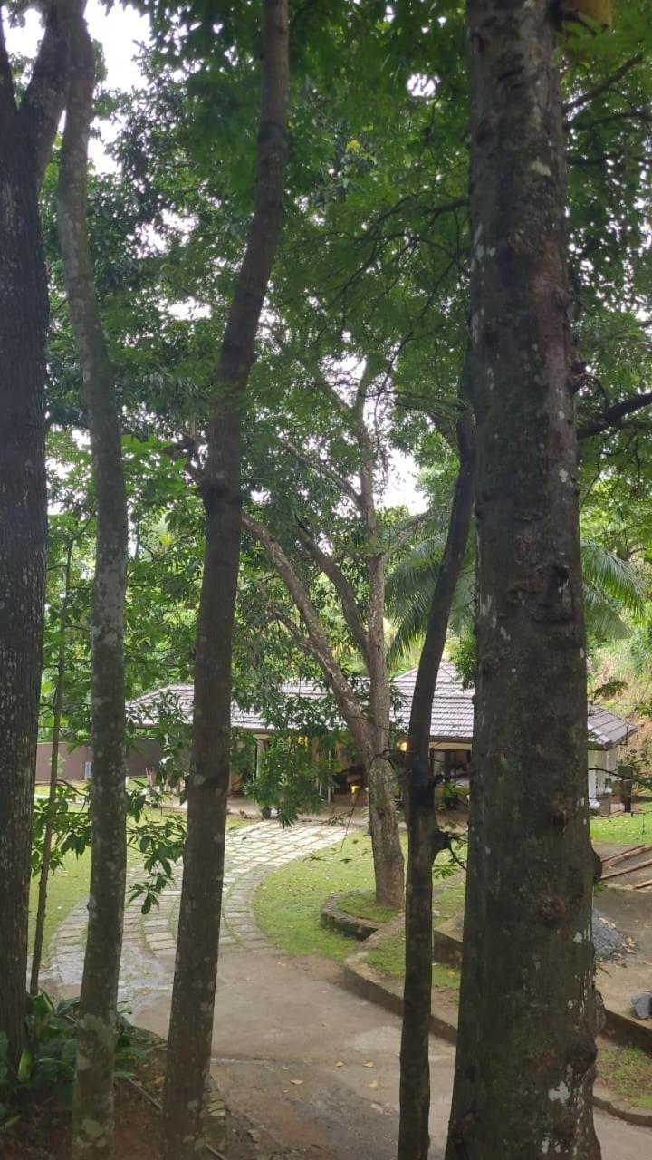 Villa D55 Kandy Bagian luar foto